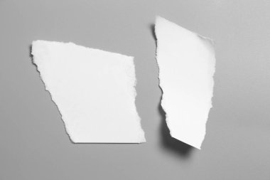 Gri arka planda beyaz yırtık kağıt. koleksiyon kağıdı yırtılması