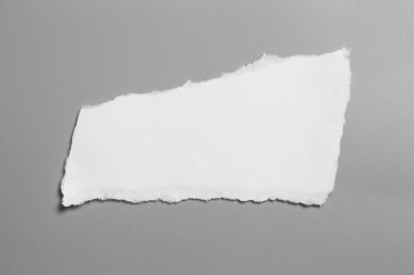 Gri arka planda beyaz yırtık kağıt. koleksiyon kağıdı yırtılması