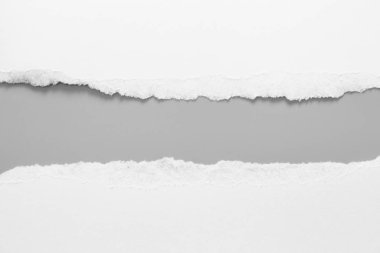 Gri arka planda beyaz yırtık kağıt. koleksiyon kağıdı yırtılması