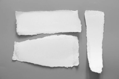 Gri arka planda beyaz yırtık kağıt. koleksiyon kağıdı yırtılması