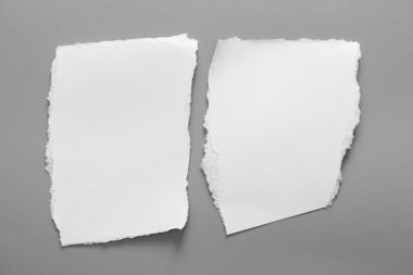 Gri arka planda beyaz yırtık kağıt. koleksiyon kağıdı yırtılması
