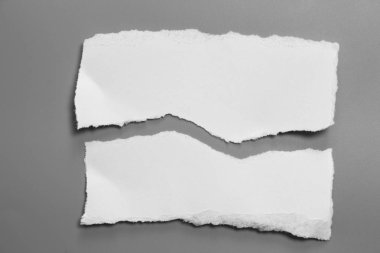 Gri arka planda beyaz yırtık kağıt. koleksiyon kağıdı yırtılması