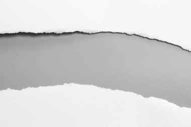 Gri arka planda beyaz yırtık kağıt. koleksiyon kağıdı yırtılması