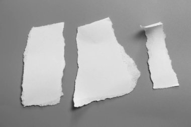 Gri arka planda beyaz yırtık kağıt. koleksiyon kağıdı yırtılması