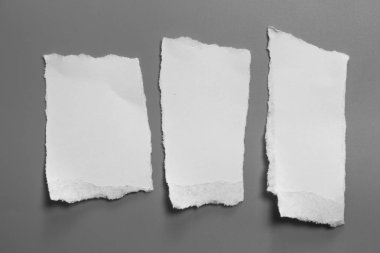 Gri arka planda beyaz yırtık kağıt. koleksiyon kağıdı yırtılması
