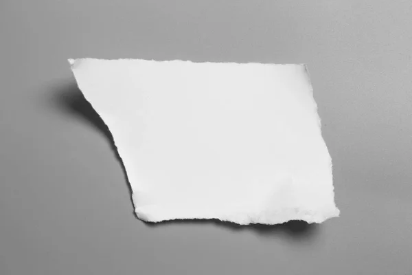 Fehér Tépett Papír Szürke Háttérrel Gyűjtőpapír Tépés — Stock Fotó