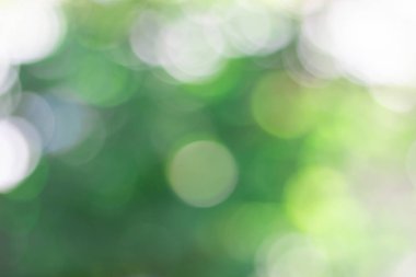Bokeh ile yeşil bulanık arkaplan
