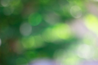 Bulanık yeşil bokeh arkaplanı