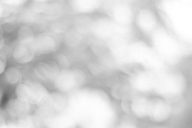 Bulanık bokeh 'in soyut arkaplanı