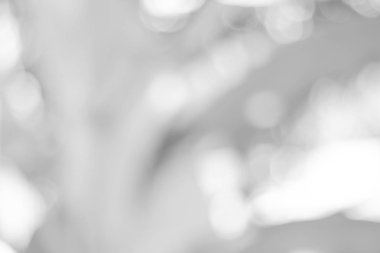 Bokeh ışıkları ile soyut arkaplan