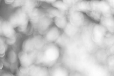 Bulanık bokeh 'in soyut arkaplanı