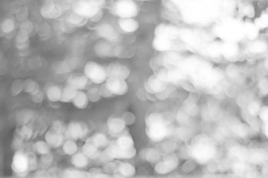 Bokeh ışıkları ile soyut arkaplan