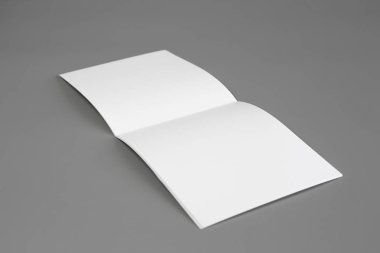 Boş dikey A4. gri, değiştirilebilir arka plan izole broşür dergi / beyaz kağıt izole gri üzerine