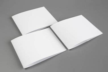 Boş dikey A4. gri, değiştirilebilir arka plan izole broşür dergi / beyaz kağıt izole gri üzerine