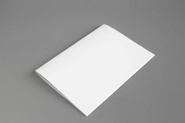 Boş dikey A4. gri, değiştirilebilir arka plan izole broşür dergi / beyaz kağıt izole gri üzerine