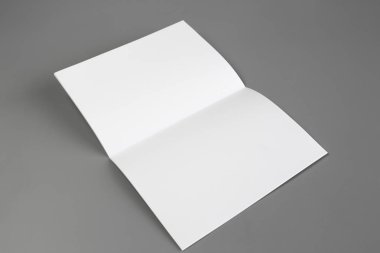 Boş dikey A4. gri, değiştirilebilir arka plan izole broşür dergi / beyaz kağıt izole gri üzerine