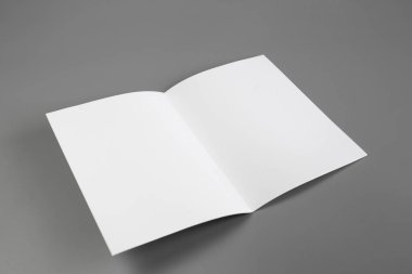 Boş dikey A4. gri, değiştirilebilir arka plan izole broşür dergi / beyaz kağıt izole gri üzerine