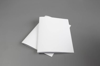 Boş dikey A4. gri, değiştirilebilir arka plan izole broşür dergi / beyaz kağıt izole gri üzerine