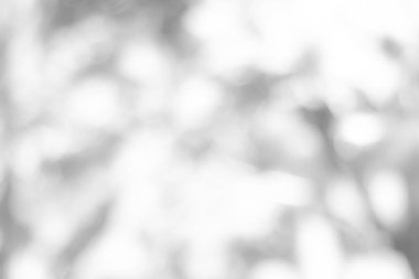 Bulanık bokeh 'in soyut arkaplanı