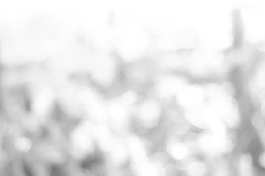 Bokeh ile soyut arkaplan