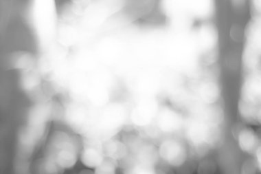 Bulanık bokeh 'in soyut arkaplanı