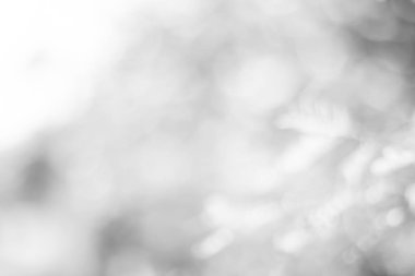 Bulanık bokeh 'in soyut arkaplanı