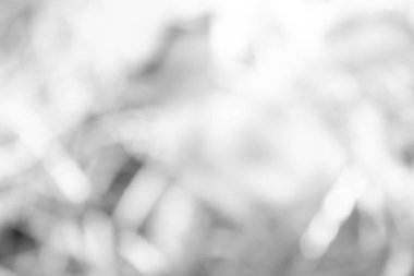 Soyut bulanık bokeh ışığının bulanık arkaplanı