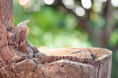 bulanık doğa zemin üzerinde ahşap boş. ağaç güdük boş. görüntülemek için kullanılan olabilir veya ürün montaj