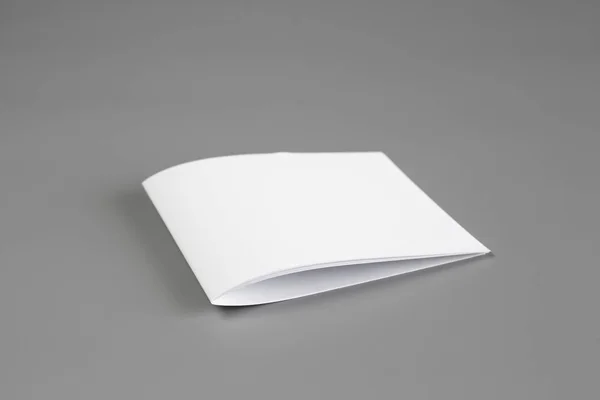 Boş Dikey Gri Değiştirilebilir Arka Plan Izole Broşür Dergi Beyaz — Stok fotoğraf