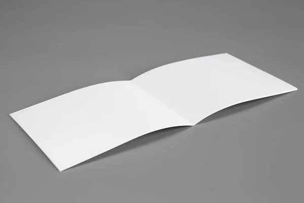 Retrato Branco Revista Brochura Isolado Cinza Fundo Mutável Papel Branco — Fotografia de Stock