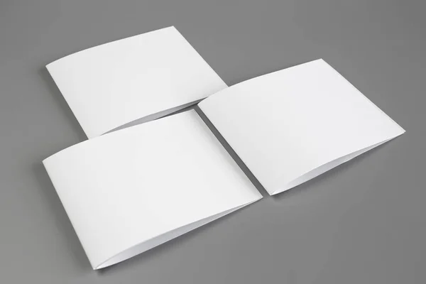 Blank Portrait Brochure Magazine Isolated Gray Changeable Background White Paper — Stock Photo, Image