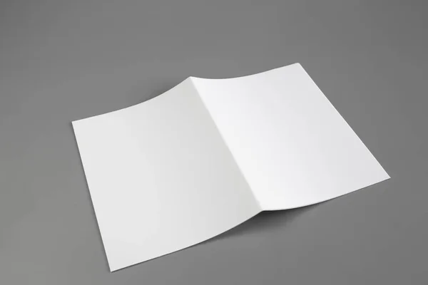 Retrato Branco Revista Brochura Isolado Cinza Fundo Mutável Papel Branco — Fotografia de Stock