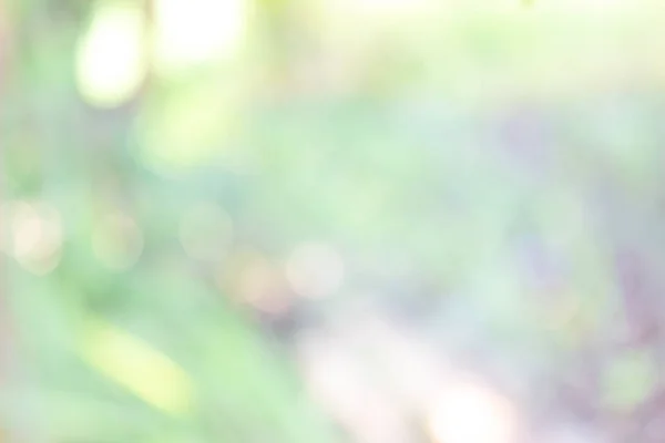 Abstract Blurred Background Green White Flowers — Stockfoto