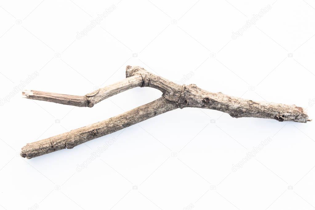 sticks tree branch from nature isolated on white background.