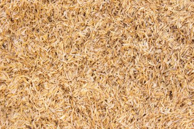 dry wheat background. top view.