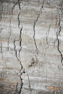 Gri doku zemin. duvar kağıdı dünya model yüzeyine.