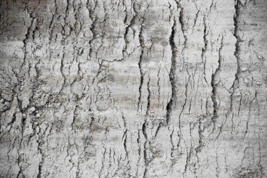 Gri doku zemin. duvar kağıdı dünya model yüzeyine.