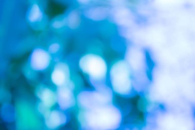 blur background for christmas, new year's day