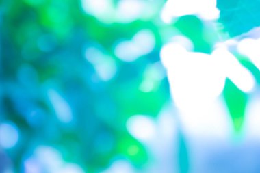 Bokeh ışıkları ile soyut arkaplan