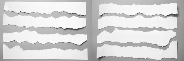 Sets white torn paper on gray background. collection paper rip