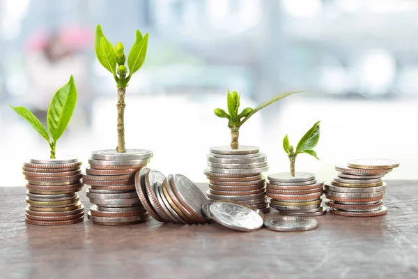 Double exposure of Financial planning, Money growth concept. Coins with young plant on table with backdrop blurred of nature, with white blurred of people walking in city town.