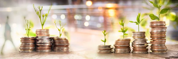 Double exposure of Financial planning, Money growth concept. Coins with young plant on table with backdrop blurred of nature, with white blurred of people walking in city town.