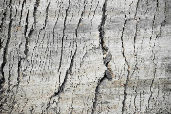 Texture Ground Surface Earth Pattern Wallpaper — Zdjęcie stockowe