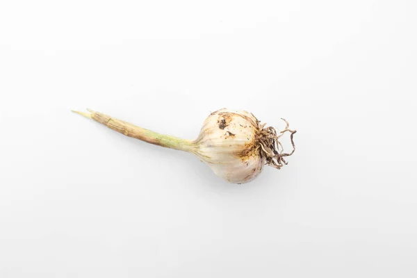 Garlic White Background Top View Garlic Garden — Stock Photo, Image