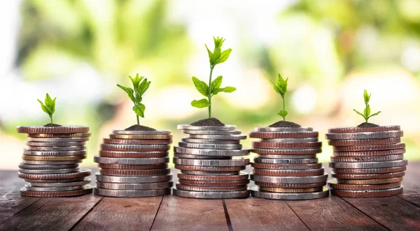 Financial planning, Money growth concept. Coins with young plant on table with backdrop blurred of nature