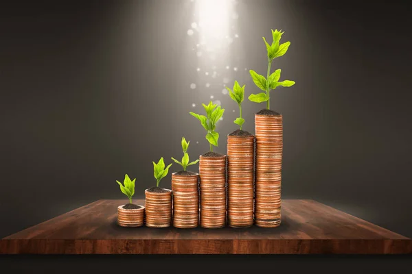 Financial planning, Money growth concept. Coins and young plant on Wooden shelf with backdrop spotlight.