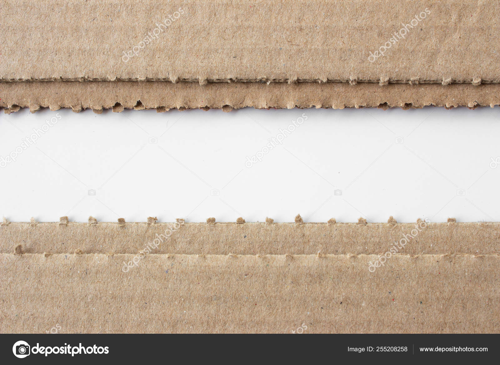 Brown Corrugated Texture Paper Torn White Background Rip Cardboard ...