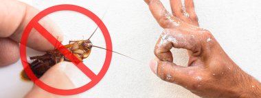 Beyaz arka planda hamamböceği tut. Tehlikeli hamamböcekleri kavramını....