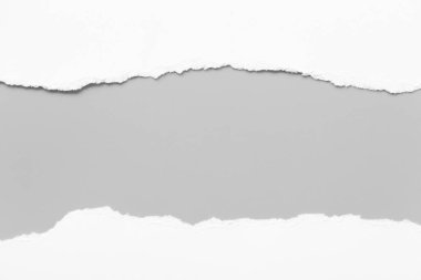 Gri arka planda beyaz yırtık kağıt. koleksiyon kağıdı yırtılması