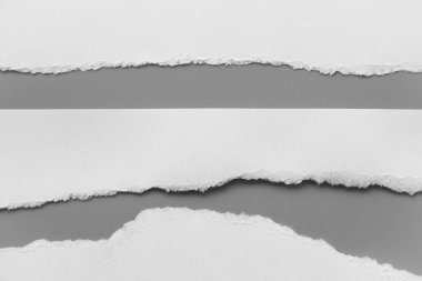 Gri arka planda beyaz yırtık kağıt. koleksiyon kağıdı yırtılması